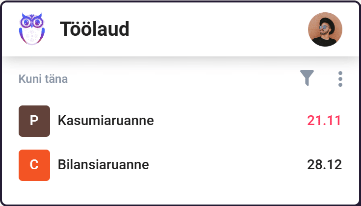 Raamatupidaja ülesanded