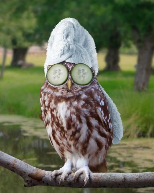 Spa loos