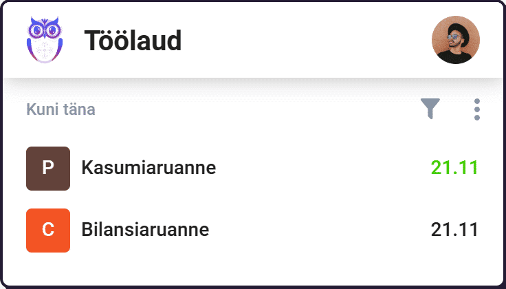 Raamatupidaja tööülesanded