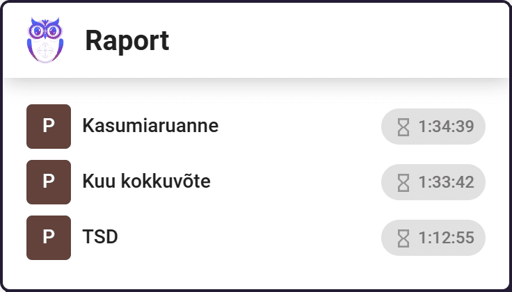 Raamatupidaja tööülesannete raport