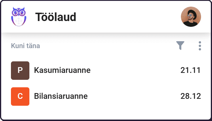 Raamatupidaja tööülesanded